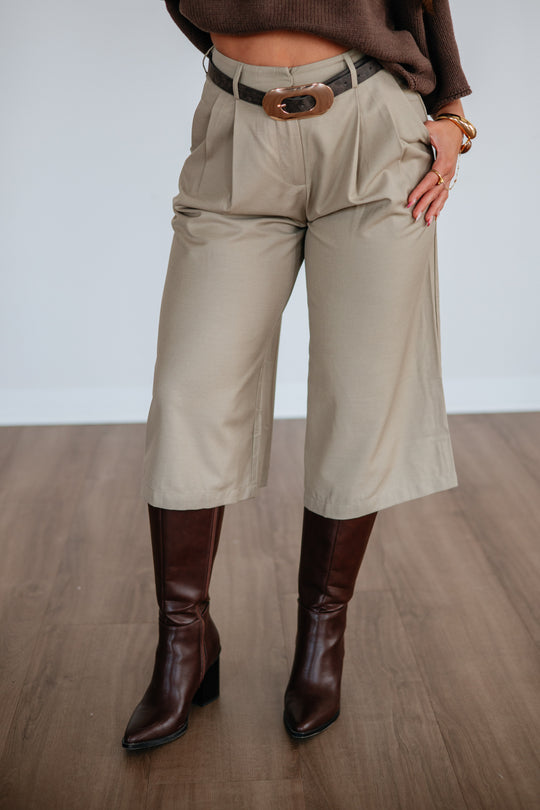Celena Pleated Shorts
