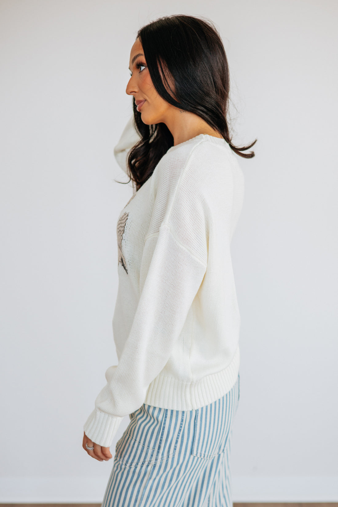 Take Flight Sweater