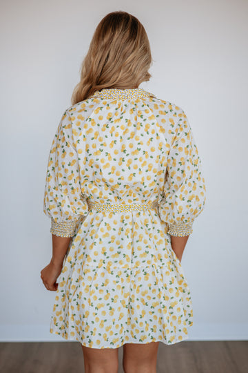 Sunny Squeeze Dress