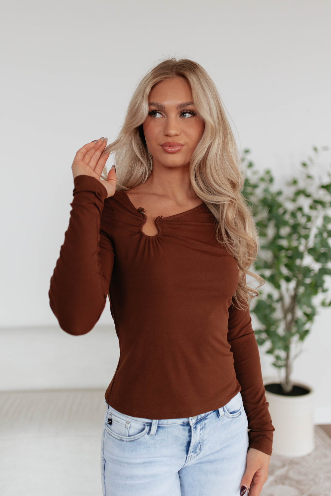 #color_chestnut