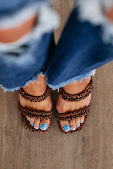 Wild Card Heels
